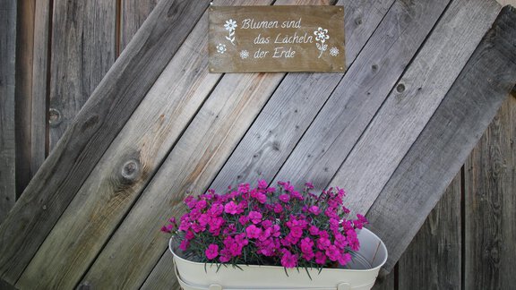 Garten - Appartement Bergkristall - Umhausen