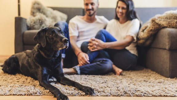 Johanna´s Hundekinder-Support - Hotel Johanna mitten im Ötztal - Umhausen