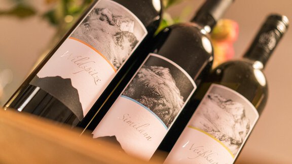 Wein - Appartement Wildspitz - Vent