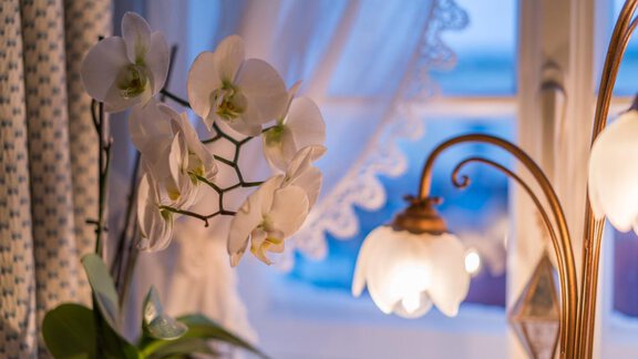 Gaststube - Appartement Wildspitz - Vent