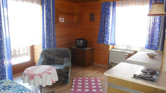 A cozy living room with wooden walls, a couch, and a small table. Curtains with blue patterns and a television are also visible. - Appt. Garni Anny - Vent