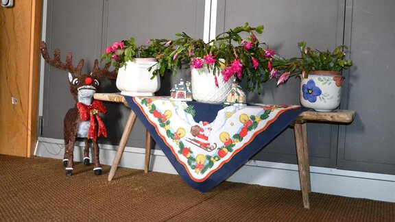 A decorative table with a colorful tablecloth and several flower pots. A plush reindeer stands next to the table. - Appt. Garni Anny - Vent
