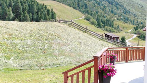A picturesque view from a balcony over green meadows and gentle hills. In the foreground, blooming plants in pots are present. - Gästehaus Soldanella - Vent