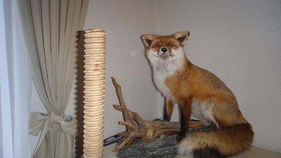 Dekoration - Haus Elisabeth - Vent