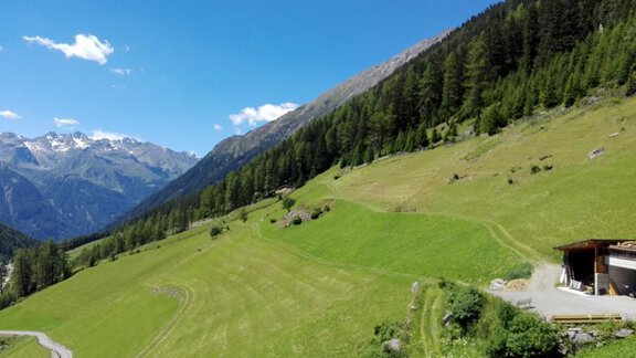 Wiese  - Berghof Schöpf - Gries