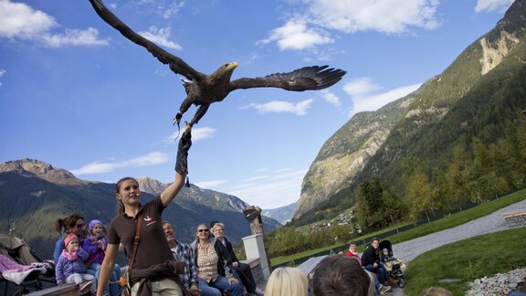 Greifvogelpark Umhausen - Landhaus Waldesruh - Haiming