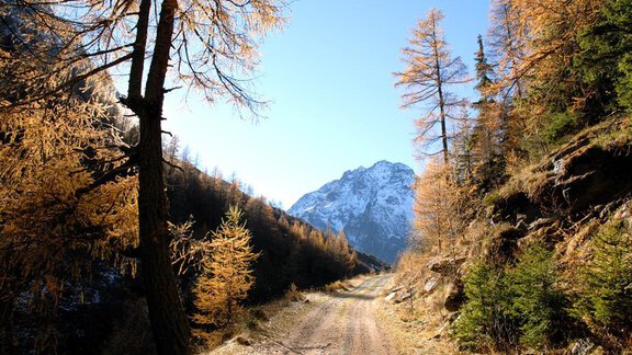 Herbst - Appartements Gufler - Huben