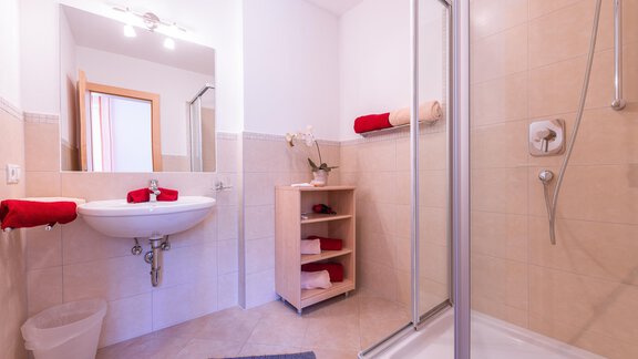Badezimmer - Apart Andrea - Längenfeld