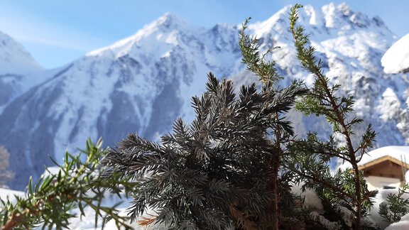 Zirmzeit - Apart ZIRMzeit - Längenfeld