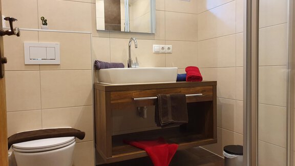 Badezimmer - Appartements Karlinger - Längenfeld