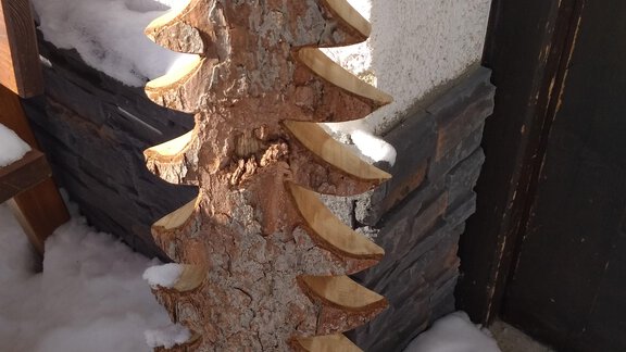 IMG_20190129_101855 - Der kleine Stadl - Längenfeld