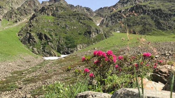 IMG-20190724-WA0028 - Der kleine Stadl - Längenfeld
