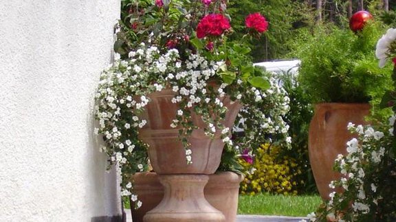 unsere Blumen - Gästehaus Sissy - Längenfeld