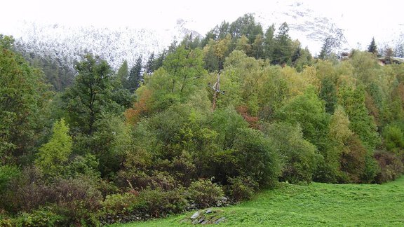 eigen Bilder 2 028 - Haus Alpenglühn - Längenfeld
