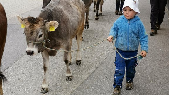 "Hoam iatz" - Honzar Hof - Längenfeld