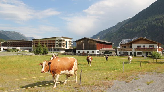Unser Landhaus mit eigenem Bauernhof - Landhaus Zell - Längenfeld | © Landhaus Zell
