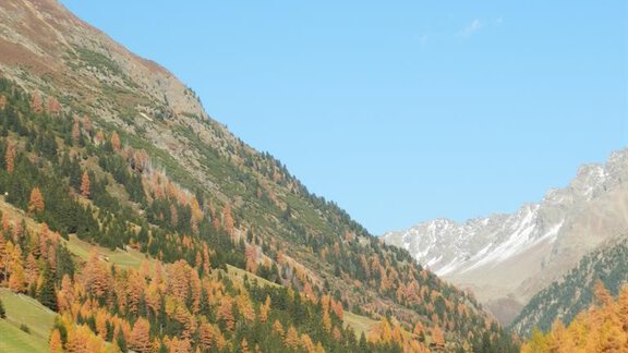 Herbst in Niederthai - Appartement Falkner Manuel - Niederthai