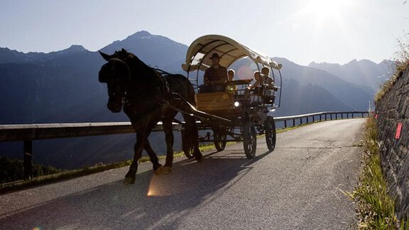 Horse Carriage Rides - Appartement Waldhof - Niederthai
