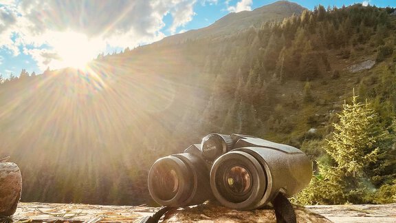 auf der Pirsch die Aussicht genießen - Sennhof - Niederthai