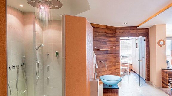 A modern bathroom with an elegant shower and a stylish washbasin. The walls are painted in light tones, combined with wooden accents. - Hotel-Garni Pirchhütt - Obergurgl 