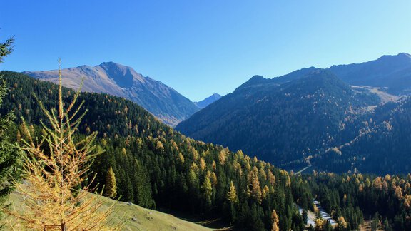 Herbstzeit - Chalet Maria - Ochsengarten