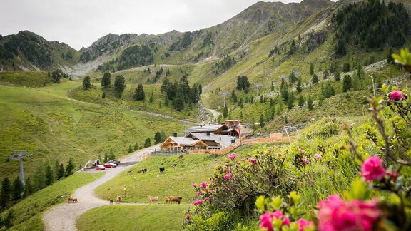 Balbach Sommer - Balbach Alm - Oetz