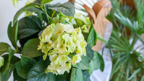 Blumen Arrangement - Living Apart Anita - Oetz