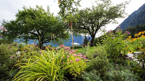 Blumen im Garten - Ferienhof Haderlehn - Sautens