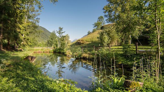 Hundeschwimmteich1 - Ferienwohnungen Pienz-Bobnar - Sautens