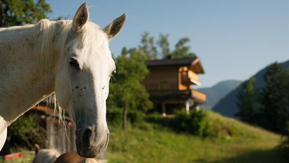 Landhaus Anna mit Pferd - Ferienwohnungen Pienz-Bobnar - Sautens