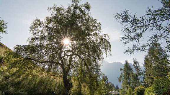 Liegewiese Schwimmen - Ferienwohnungen Pienz-Bobnar - Sautens