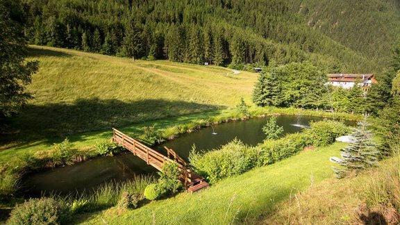 Schwimmteich8 - Ferienwohnungen und Chalets Pienz-Bobnar - Sautens