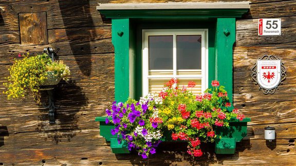 A window with a green windowsill, adorned with colorful flowers. The wooden wall of the house gives the image a traditional charm. - Altes Holzhaus - Sölden