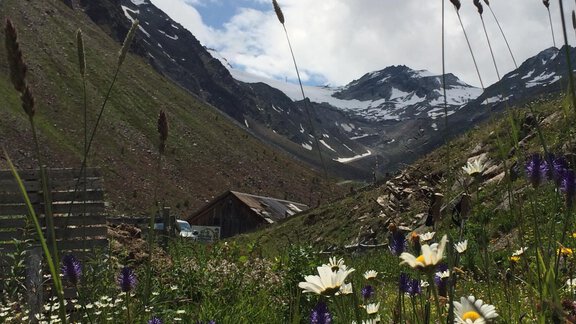 A picturesque mountain landscape with colorful wildflowers in the foreground. In the background, snow-capped peaks rise under a cloudy sky. - Appt. Ideal - Sölden