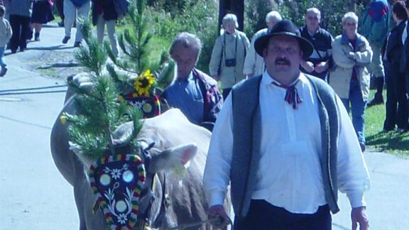 A man is leading a cow decorated with colorful flowers and spruce branches. In the background, many people can be seen at a festival. - Brandlehof - Sölden