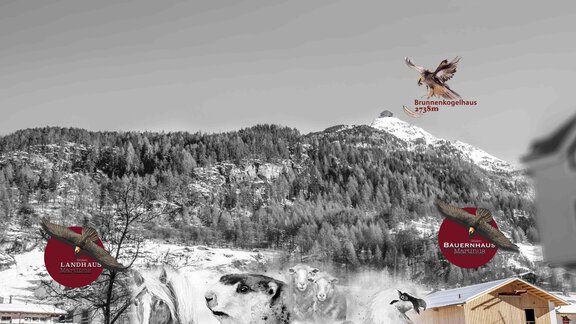 Martinus119 - Landhaus Martinus - Sölden