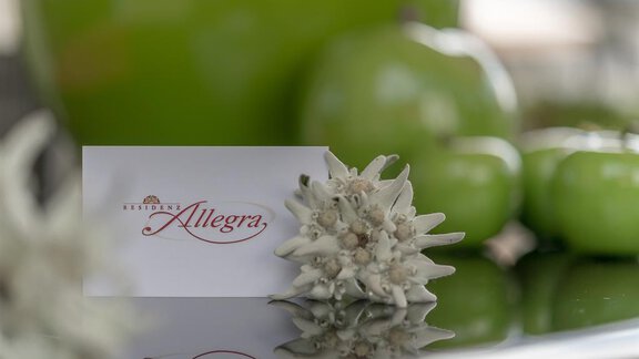 A stylish arrangement with a white card and an elegant flower. In the background, green apples and a large green vase are visible. - Residenz Allegra - Sölden | © Residenz Allegra Sölden