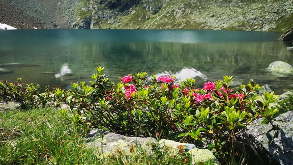 Schönrinnenkarsee - Bergsee - Apartment Isabella - Umhausen