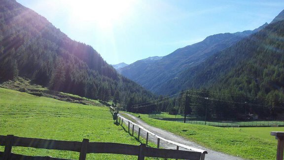A beautiful green landscape with mountains in the background and a clear sky. A path winds through the meadow, surrounded by trees. - Gasthof Brückenwirt - Zwieselstein