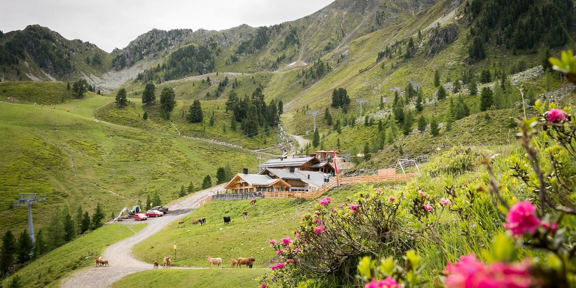 Balbach Alm | Ötztal in Tirol, Austria