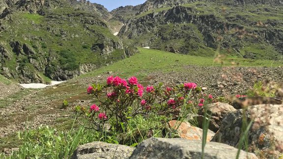 the mountains in summer in the valley of Oetzt - Der große Stadl - Längenfeld