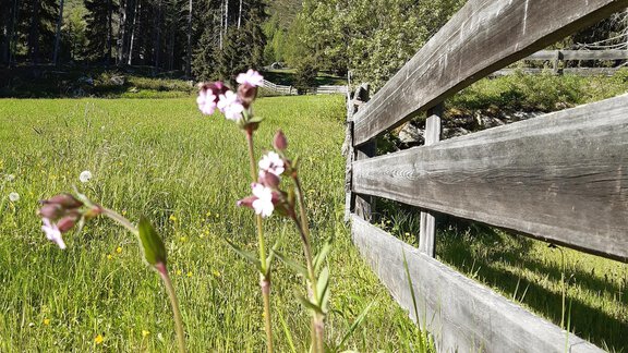 Wandern - Ferienwohnung Eva - Längenfeld