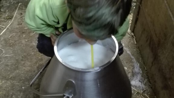 Alessandro hat durst!! - Honzar Hof - Längenfeld