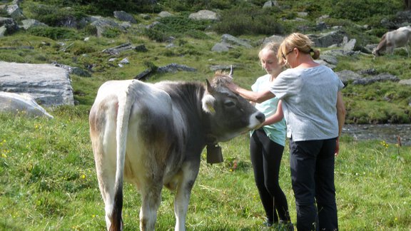 Sophia mit Ute bei den Kälbchen - Honzar Hof - Längenfeld