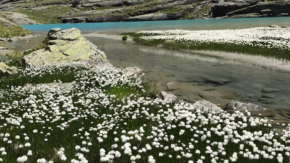 Bergsee - Landhaus Steinmüller - Längenfeld