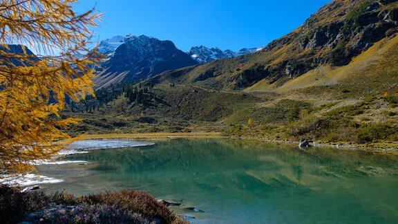 Sommer in den Bergen - Haus Lärchenwald - Niederthai