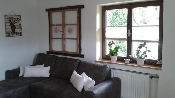 Wohnzimmer App. 58m² - Reiterhof Alpin Appart - Niederthai