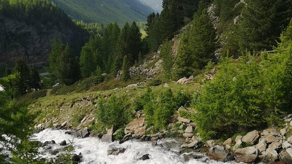 A picturesque mountain river flows through a green landscape. Surrounded by tall trees and mountains, the scene conveys a tranquil natural atmosphere. - Haus Christophorus - Obergurgl 