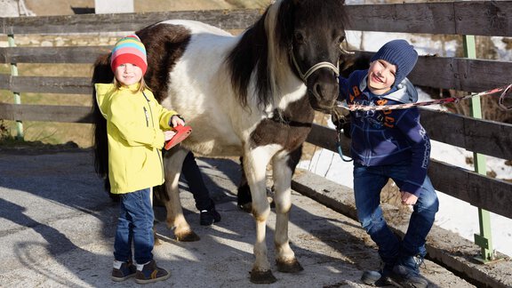 Unsere Ponies sind ein Highlight - Berghotel & Gasthof Marlstein - Ochsengarten | © Berghotel Marlstein GmbH