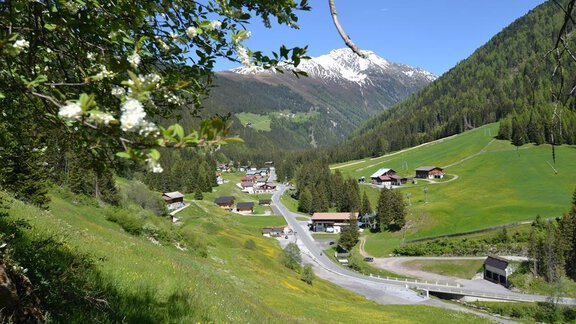 Nedertal und Pirchkogl - Gasthof Waldesruh*** - Ochsengarten